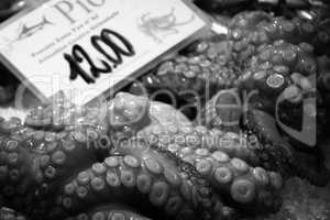 frischer Oktopus auf Fischmarkt Venedig in schwarzweiß