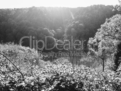 River Avon Gorge in Bristol in black and white