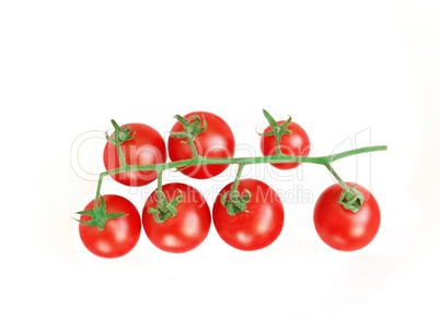 tomatoes isolated on the white