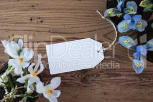 Flowers, Label With Copy Space