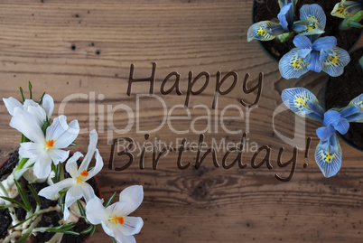 Crocus And Hyacinth, Text Happy Birthday