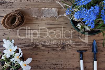 Spring Flowers, Copy Space For Advertisement