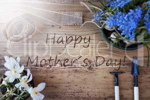 Sunny Spring Flowers, Text Happy Mothers Day