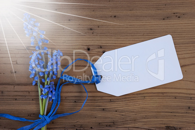 Sunny Srping Grape Hyacinth, Label, Copy Space For Advertisement.