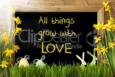 Sunny Narcissus, Easter Egg, Bunny, Quote All Things Grow Love