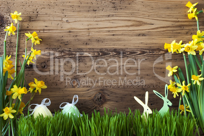 Easter Decoration, Gras, Copy Space