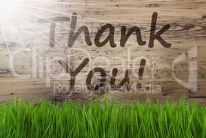 Sunny Wooden Background, Gras, Text Thank You