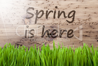 Bright Sunny Wooden Background, Gras, Text Spring Is Here