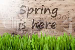 Bright Sunny Wooden Background, Gras, Text Spring Is Here
