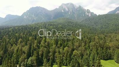 Aerial view of forest of green pine trees on mountainside