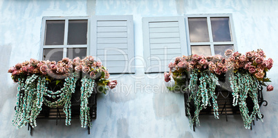 Window and flower box