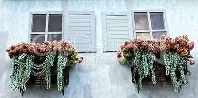 Window and flower box