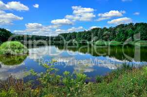 A beautiful summer landscape with a river, clouds and plants