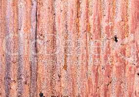 Old corrugated iron fence for background.