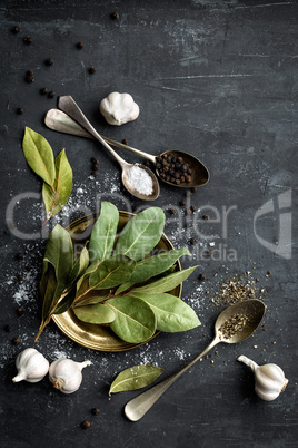Dark culinary background with bay leaves, salt, pepper and garlic, view from above, copy space for recipe text