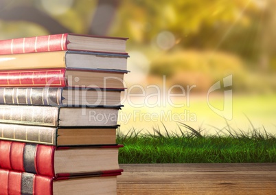 Books stacked by greenery nature