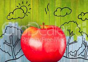 apple against colourful painted wood with nature drawings
