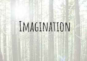 Imagination text with forest