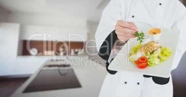 Chef with plate of food against blurry kitchen