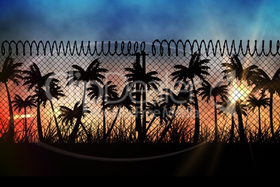 sunset view with palm trees and fence in front