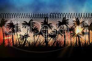 sunset view with palm trees and fence in front