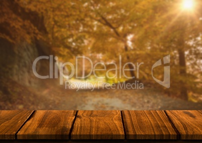 Wood table against blurry forest