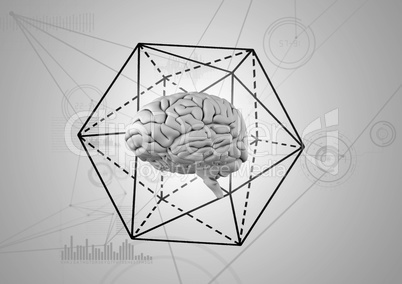 Grey brain with black hexagon against white background