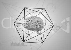 Grey brain with black hexagon against white background