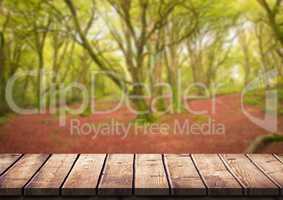 Wood table against blurry forest