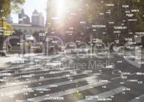 White network against blurry street with flare