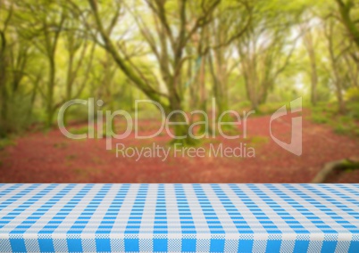 Picnic table against blurry forest