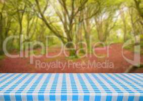 Picnic table against blurry forest