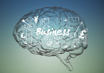 Transparent brain with white business doodles against blue green background