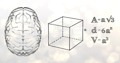 Grey brain and black math graphics against white bokeh