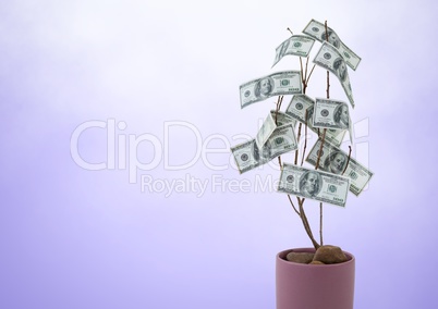 Money tree against purple background