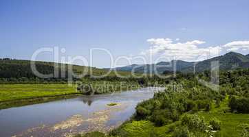 river at the Carpathian forest