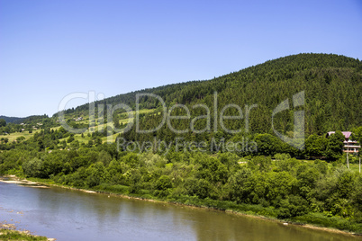 river at the Carpathian forest