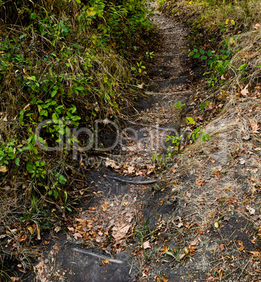 hiking trail