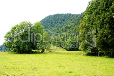 Landschaft in der Jachenau