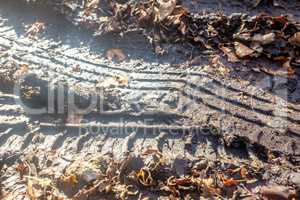 tyre tracks on a muddy road in lake district uk