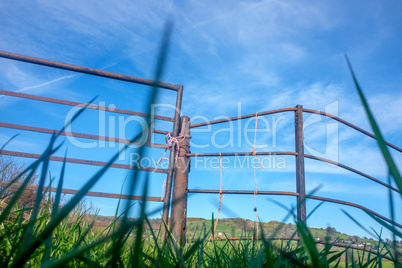 metal railings and grass in Springtime with beautiful blue sky and whire clouds