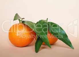 tangerine fruit food