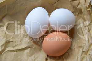 Bio Eier auf Papiertüte