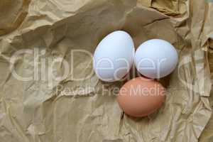 Bio Eier auf Papiertüte