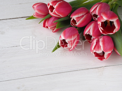 Beautiful tulips on white wood