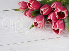Beautiful tulips on white wood