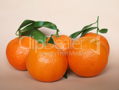 tangerine fruit food