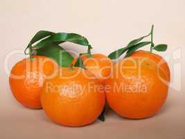 tangerine fruit food