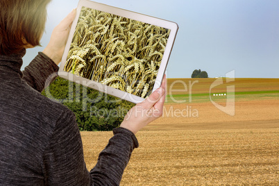 Farmer with tablet pc planning of field orders