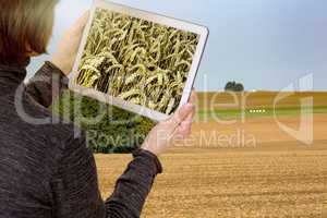 Farmer with tablet pc planning of field orders